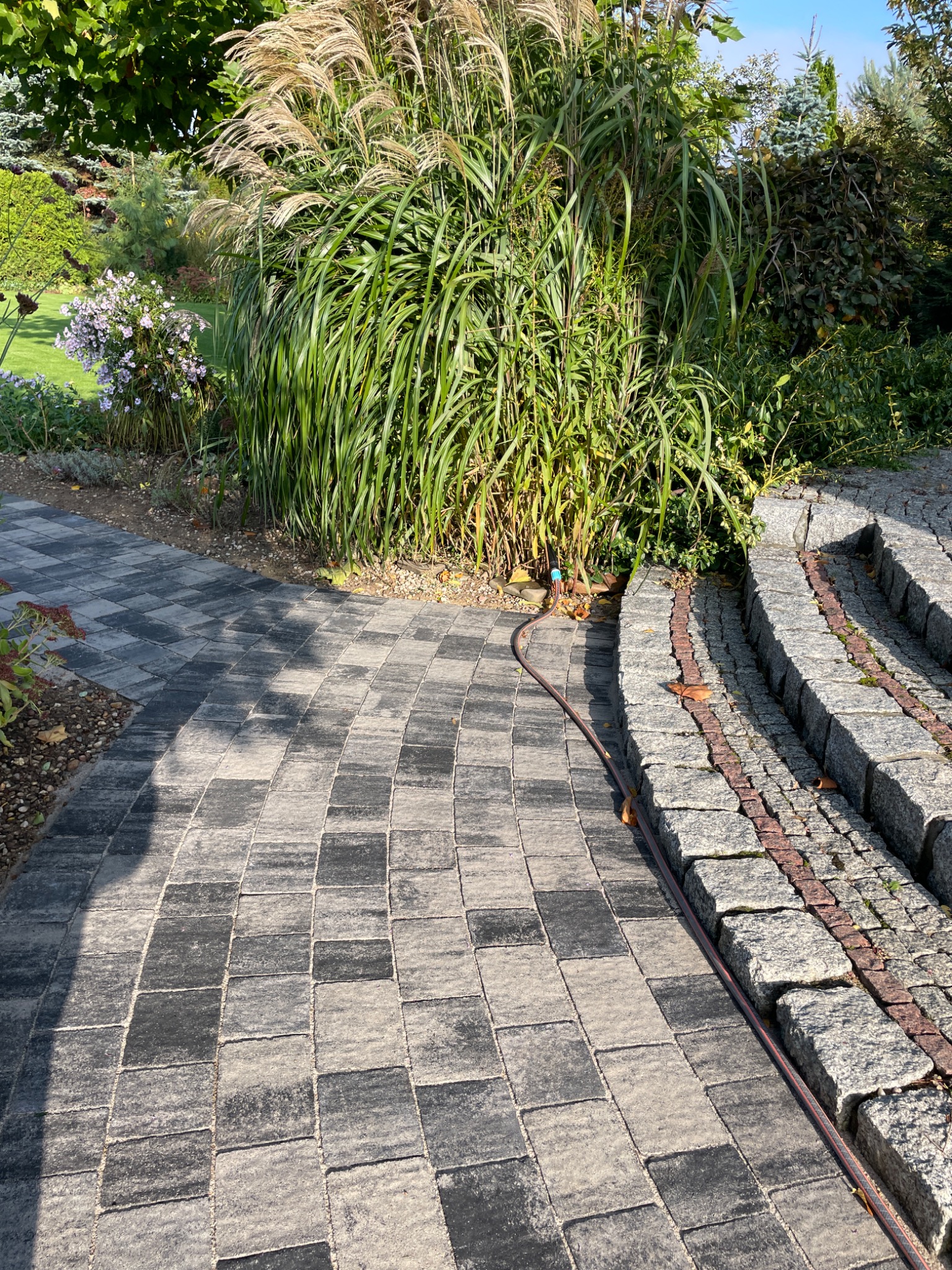 Zakrzywiony chodnik z kostki brukowej w odcieniach szarości, prowadzący do granitowych schodów z czerwoną wstawką, otoczony wysoką trawą ozdobną i zielenią ogrodu.