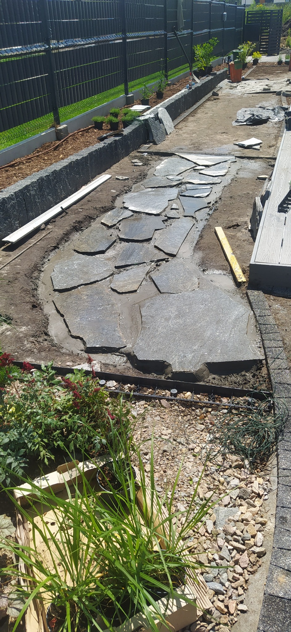 Ścieżka z nieregularnych płyt kamiennych w trakcie budowy, widoczne mokre spoiwo, poziomica i przygotowane rośliny w doniczkach w ogrodzie.