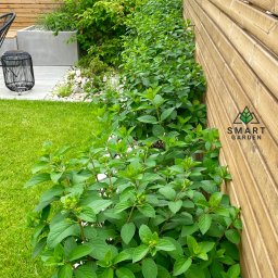 Zakładanie ogrodów Warszawa 2