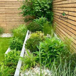 Zakładanie ogrodów Warszawa 3