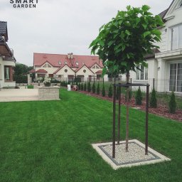 Your Smart Garden Sp. z o.o. - Młode drzewo z zielonymi liśćmi, podparte trzema palikami, otoczone kwadratową obudową wypełnioną białym żwirem, na tle idealnie przystrzyżonego trawnika i nowoczesnej zabudowy jednorodzinnej.
