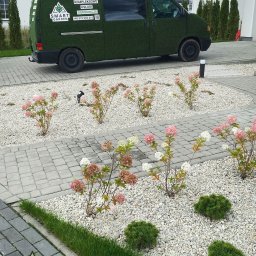 Zakładanie ogrodów Warszawa 1