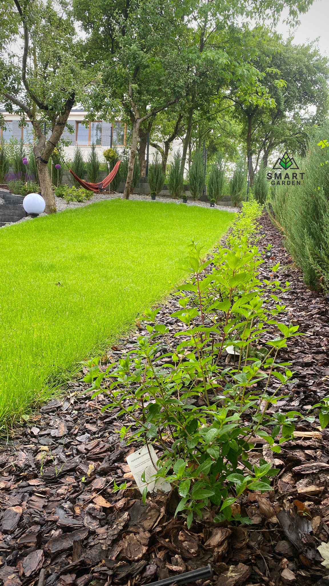 Pełny widok na zadbany ogród z równo przystrzyżonym trawnikiem, ozdobnymi krzewami wzdłuż ścieżki wyłożonej korą, drzewami dającymi cień i hamakiem w tle.