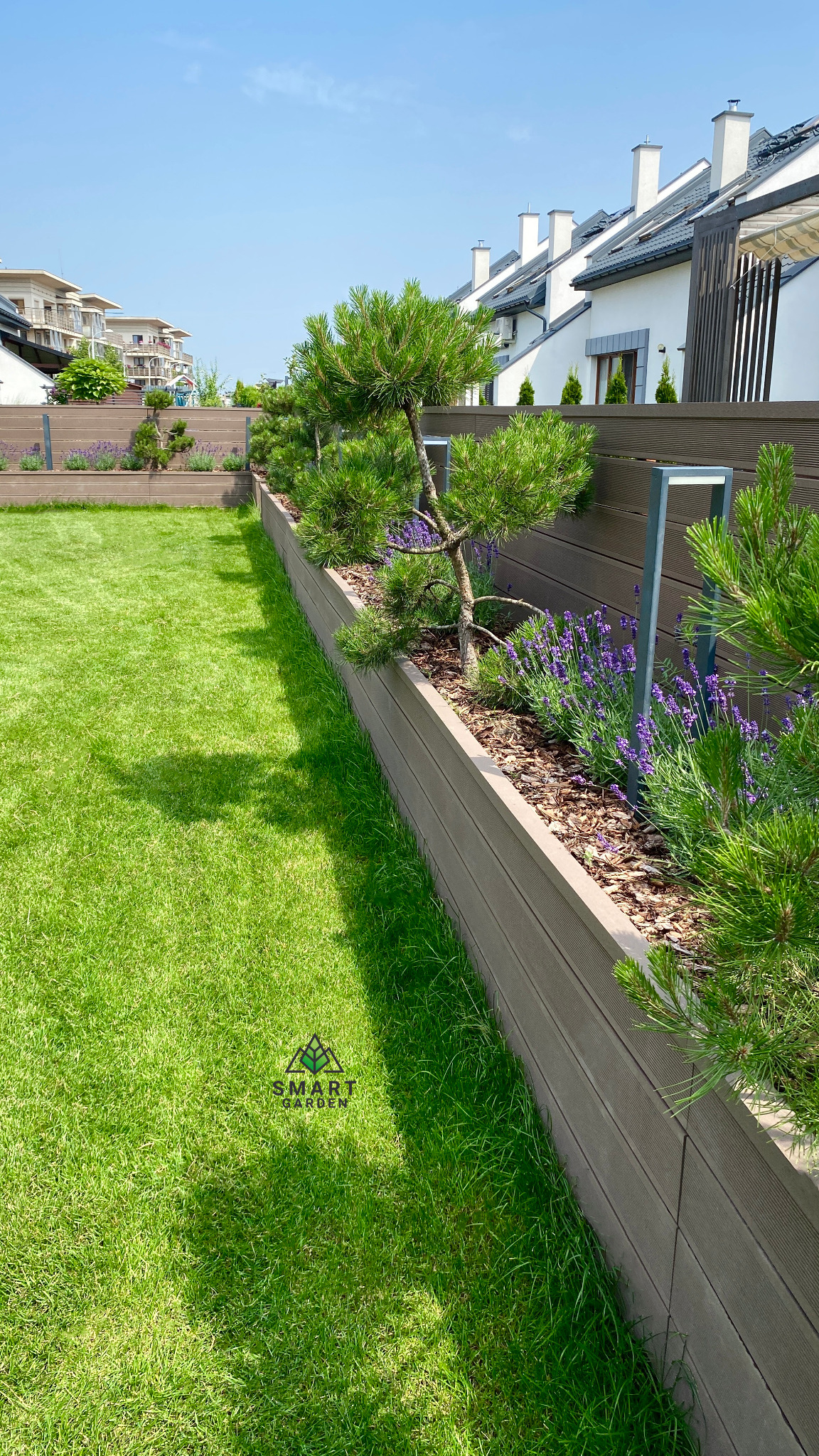 Nowoczesny ogród z równo przystrzyżonym trawnikiem, podwyższonymi rabatami z drewnopodobnych desek, ozdobnymi sosnami i fioletową lawendą, w tle zabudowa szeregowa.