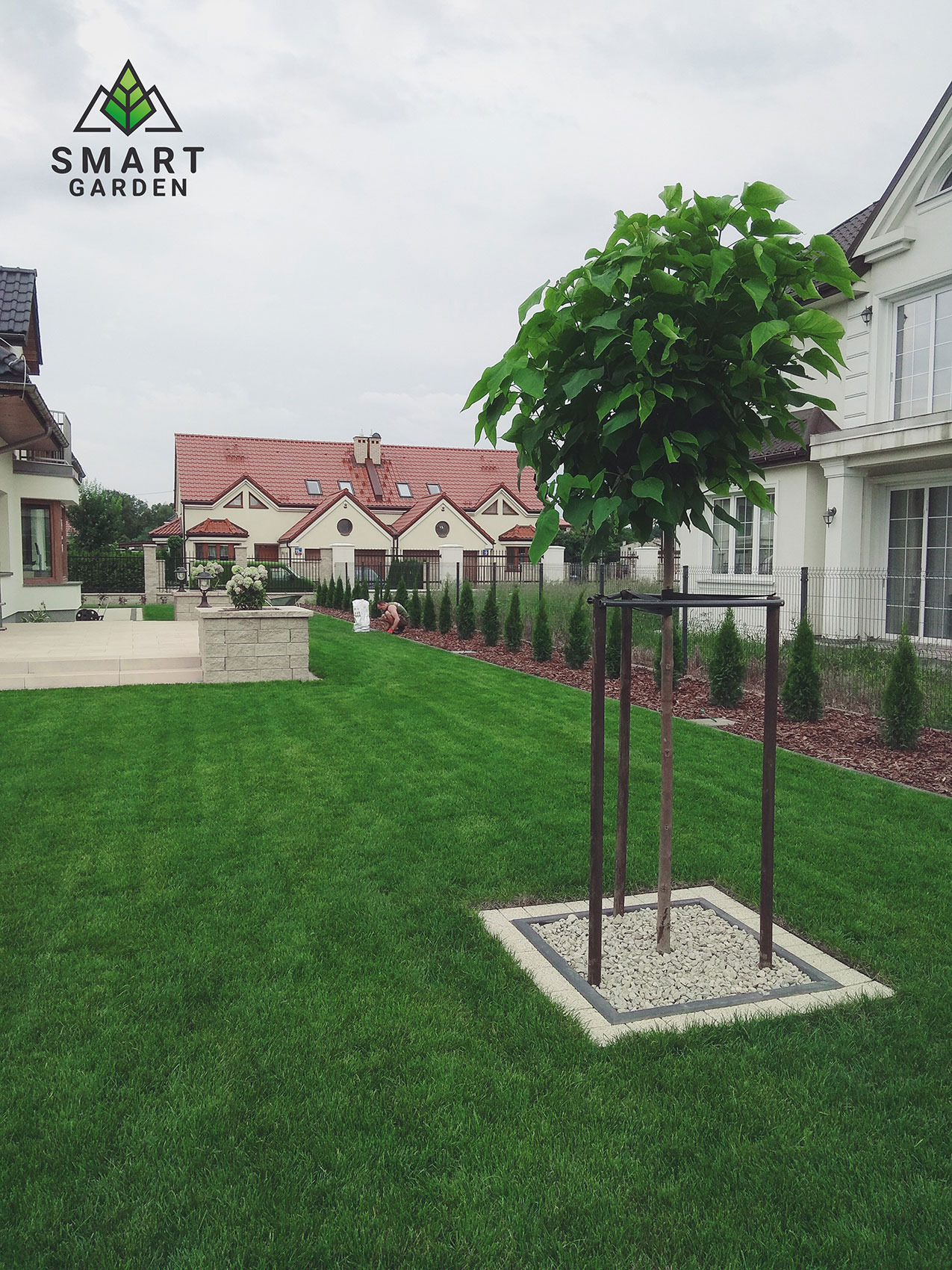 Młode drzewo z zielonymi liśćmi, podparte trzema palikami, otoczone kwadratową obudową wypełnioną białym żwirem, na tle idealnie przystrzyżonego trawnika i nowoczesnej zabudowy jednorodzinnej.