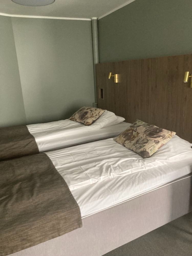 Dwa pojedyncze łóżka z brązowymi narzutami i wzorzystymi poduszkami w pokoju hotelowym z drewnianym panelem i lampkami nocnymi.