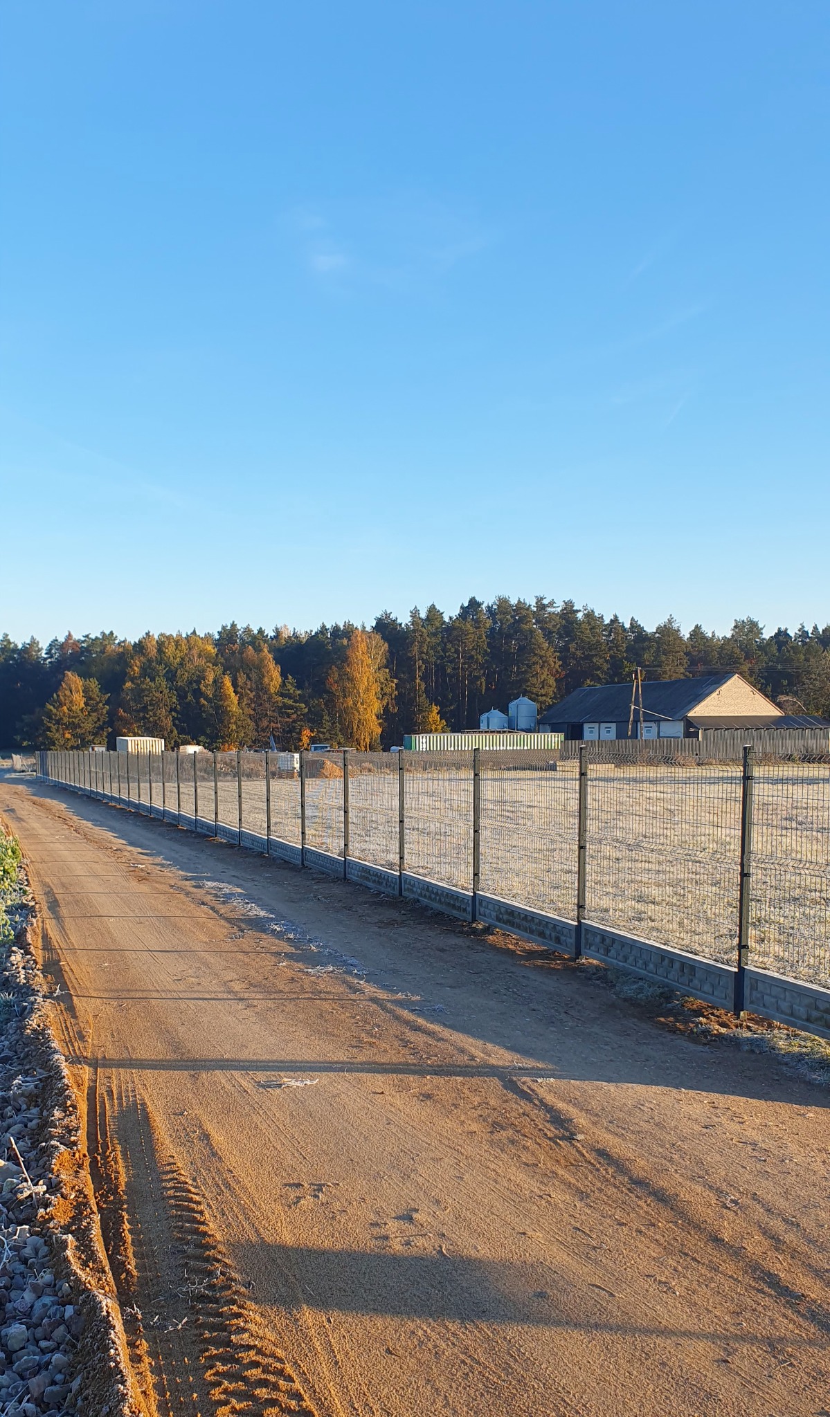 Długa, metalowa siatka ogrodzeniowa z betonową podmurówką, ciągnąca się wzdłuż polnej drogi w kierunku lasu i zabudowań w słoneczny poranek.