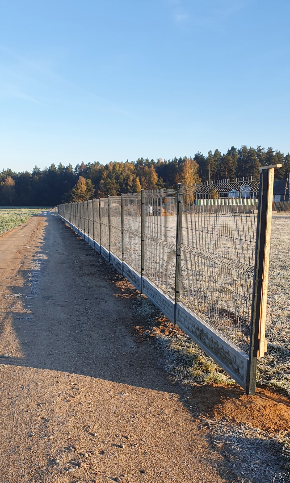 Długa siatka ogrodzeniowa z betonową podmurówką, biegnąca wzdłuż polnej drogi, z lasem w tle i porannym szronem na trawie. Widok w słoneczny dzień.