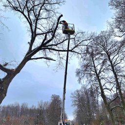 BeGreen Michał Mendak - Perfekcyjne Wycinanie Drzew Pabianice