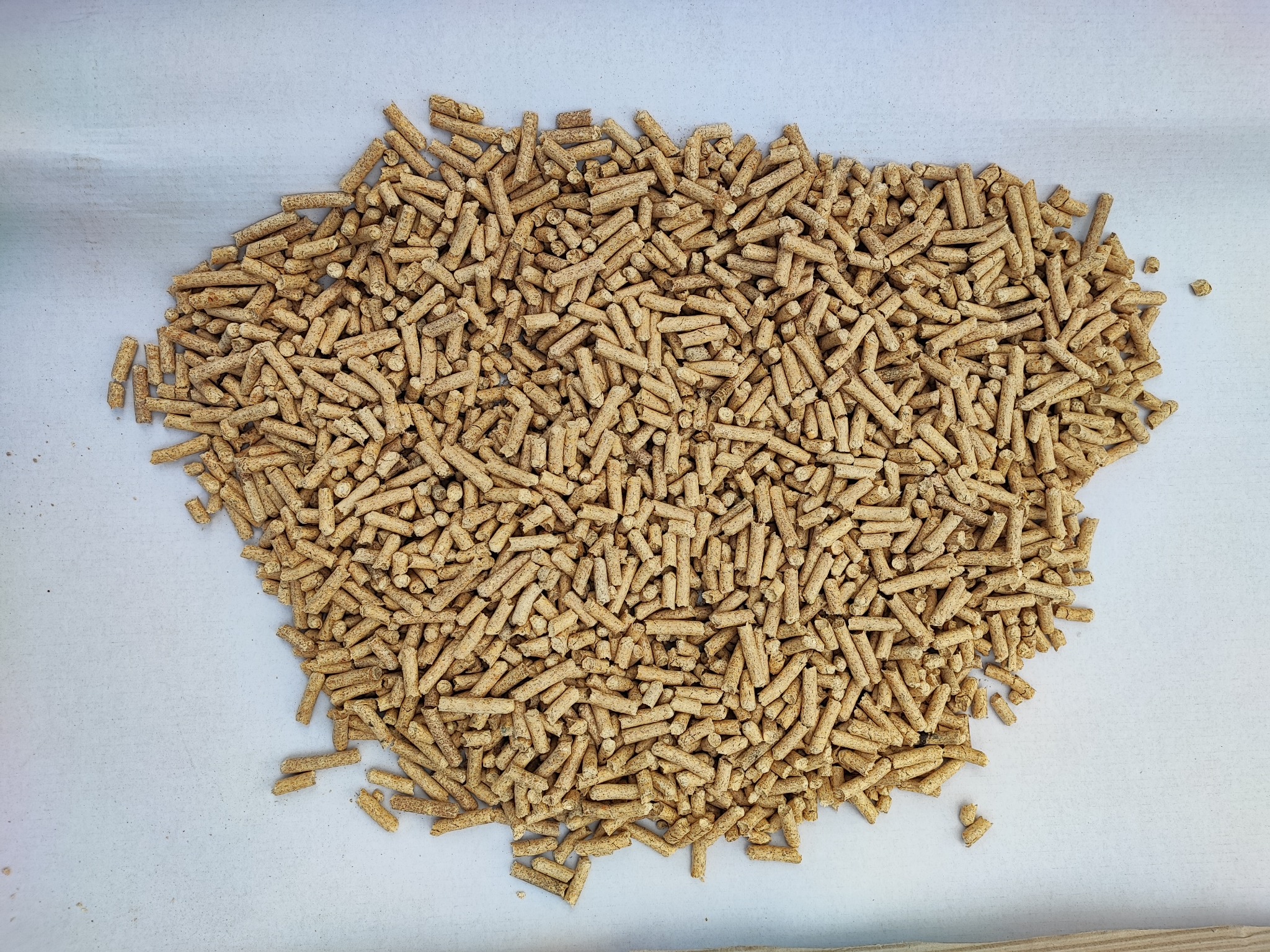 Jasne, drewniane pelety ułożone w nieregularny kształt na białym tle, widoczne drobne pęknięcia na powierzchni niektórych peletów.