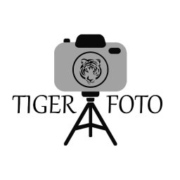 Tiger photo - Grafik Czarna