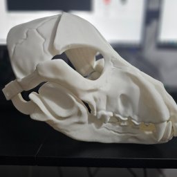 Drukarnia Warszawa 2