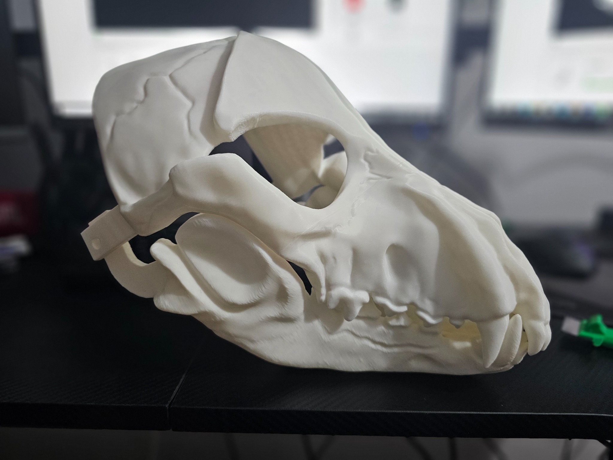 Biała, wydrukowana w 3D czaszka zwierzęcia na czarnym stole. Widoczne detale druku, oświetlenie studyjne i rozmyte tło z monitorami.