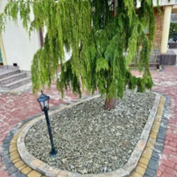 Obrzeże z kostki w trzech kolorach otaczające drzewo iglaste z korą jako ści&oacute;łką, na tle kostki brukowej i elewacji budynku.