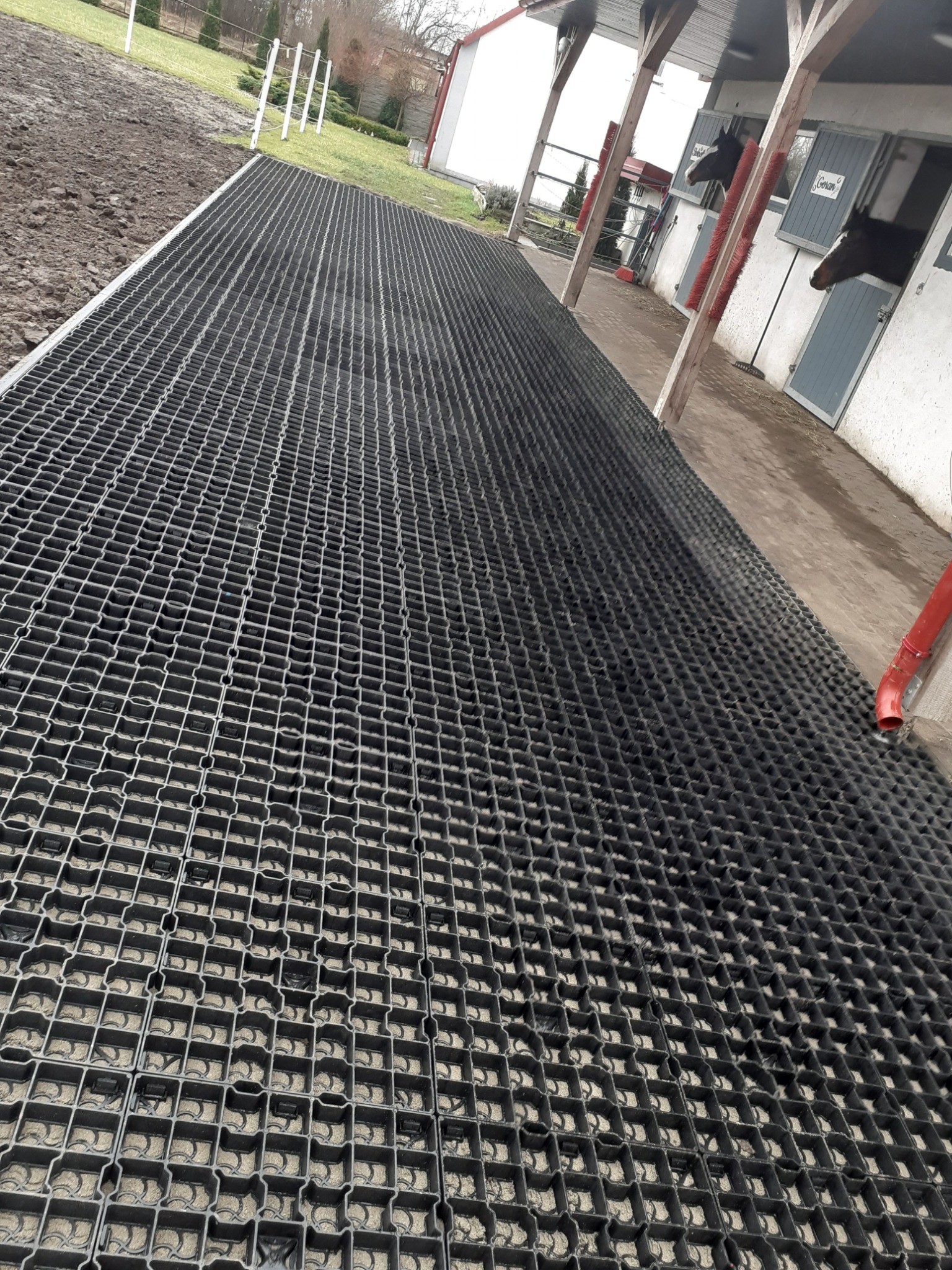 Czarna, plastikowa kratka trawnikowa ułożona przed stajnią dla koni, widoczne dwa konie wyglądające z boksów.