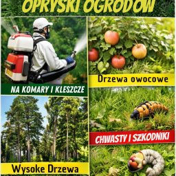 ADONIS Ogrody Andrzej Judziński - Prace działkowe Lubin