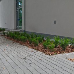 Nasadzenia ponad 400 szt roślin przy hali sportowej, Wrocław