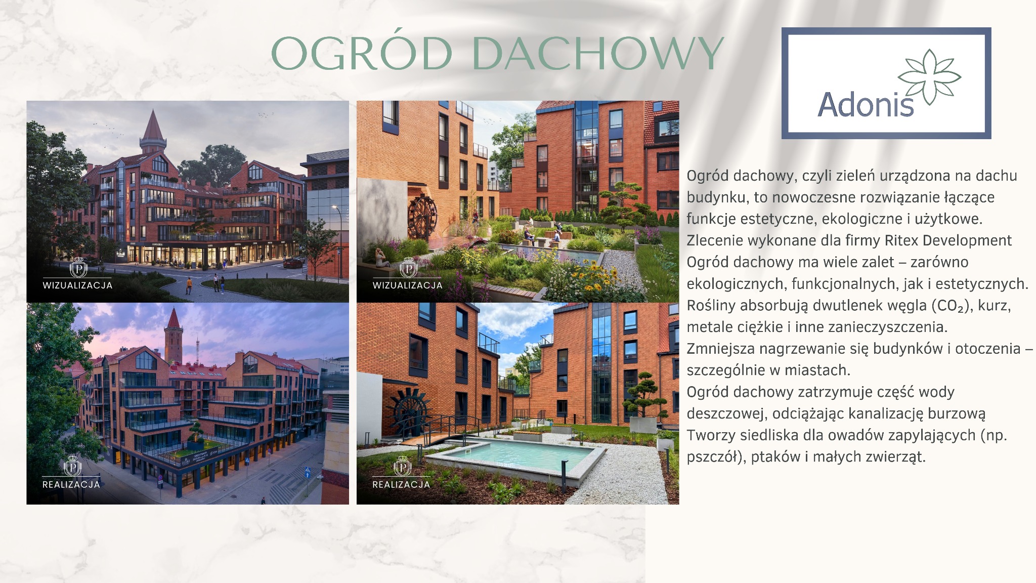 Ogród dachowy na nowoczesnym budynku z cegły. Ujęcie z wizualizacji i realizacji, zieleń na dachu, mały zbiornik wodny, roślinność. Architektura miejska.