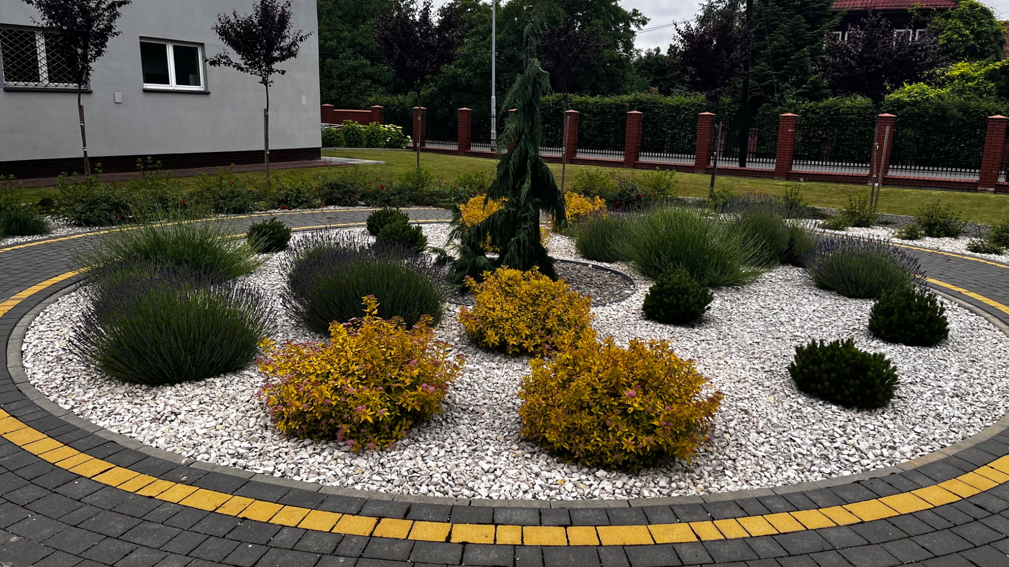 Okrągły klomb z białym żwirem, ozdobnymi krzewami (żółte i zielone) oraz wysokim drzewem iglastym pośrodku. Obwódka z szarej kostki brukowej z żółtymi akcentami. W tle budynek mieszkalny...