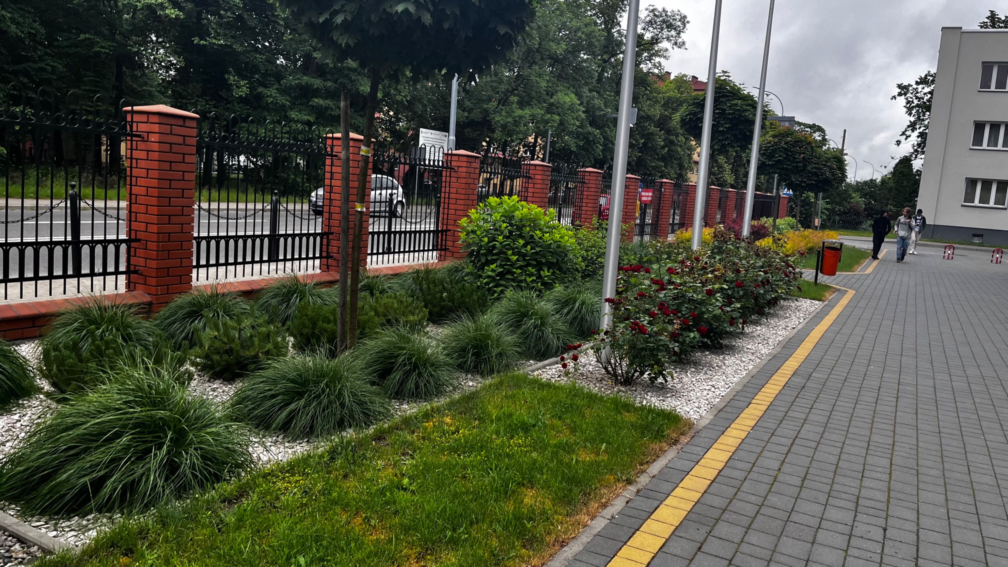 Kaskadowe trawy ozdobne i krzewy róż wzdłuż muru z cegły i metalowego ogrodzenia, wysypane białym grysem, z chodnikiem i budynkiem w tle.