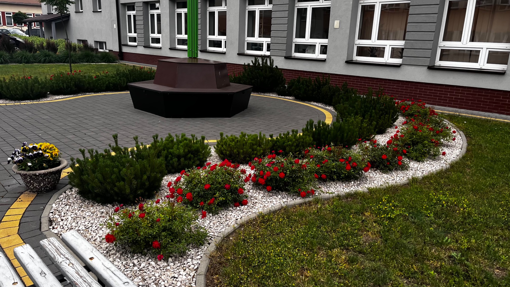 Kwadratowa ławka otoczona rabatami z czerwonych róż i iglaków, wykończonymi białym grysem, na tle szarego budynku z białymi oknami.