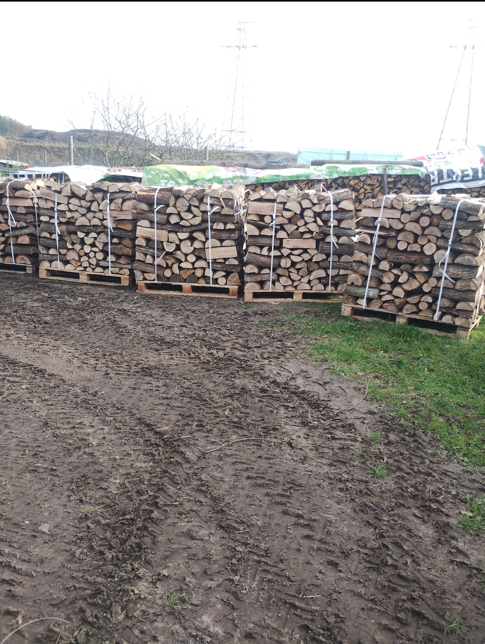 Ułożone na paletach i spięte białą taśmą pakiety drewna kominkowego na błotnistym podłożu, w tle zieleń i elementy infrastruktury.