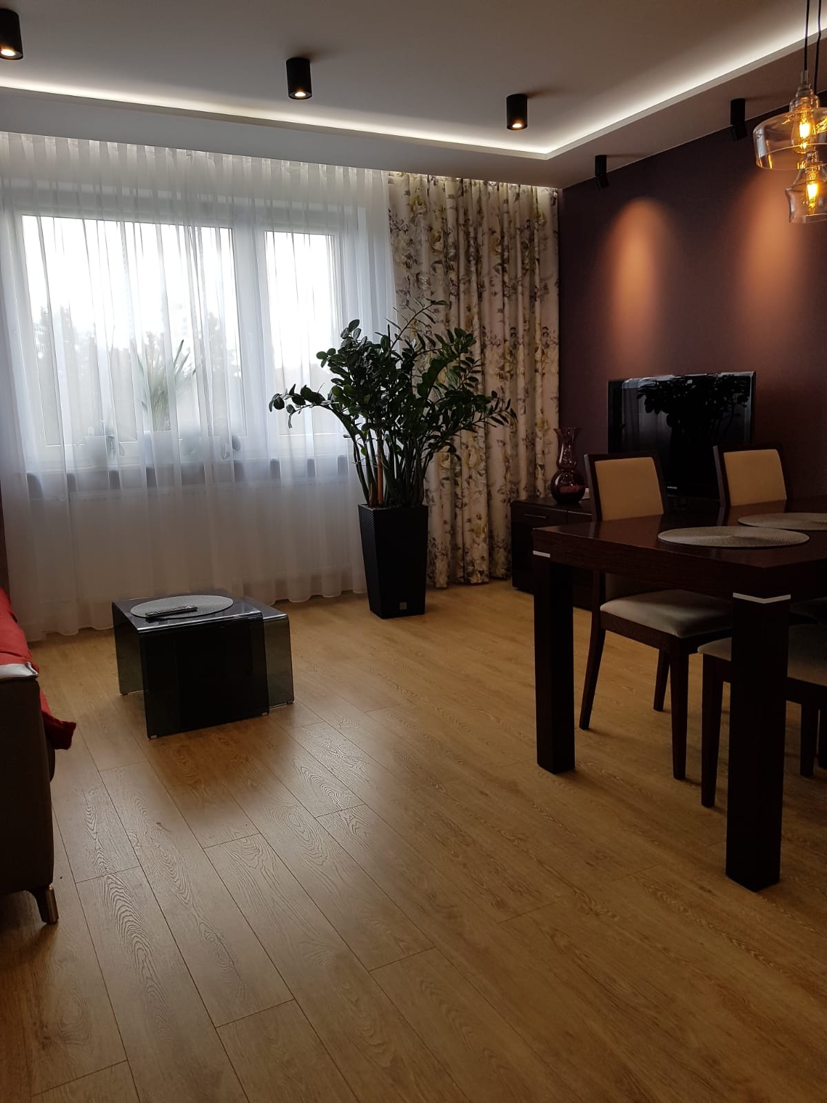 Jasne panele podłogowe w salonie z ciemną ścianą, stołem jadalnym i zieloną rośliną w czarnej donicy, oświetlenie punktowe na suficie.