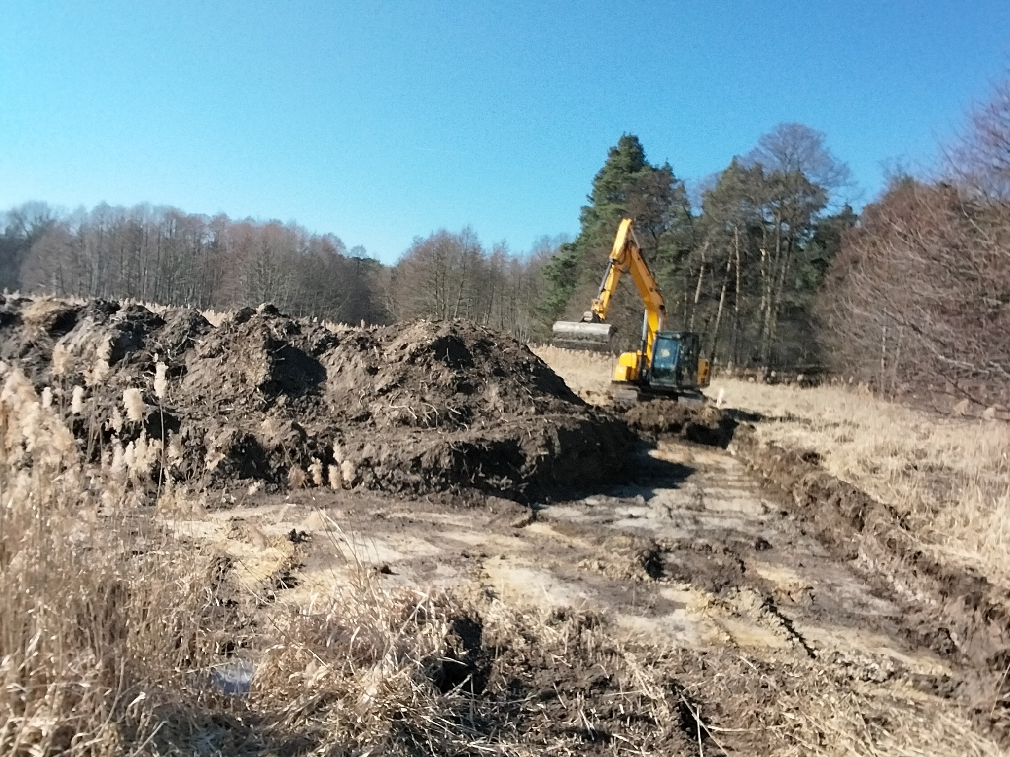 Żółta koparka na tle lasu i błękitnego nieba podczas prac ziemnych. Widoczne świeżo przekopane rowy i pryzma ziemi. Prace ziemne w terenie.