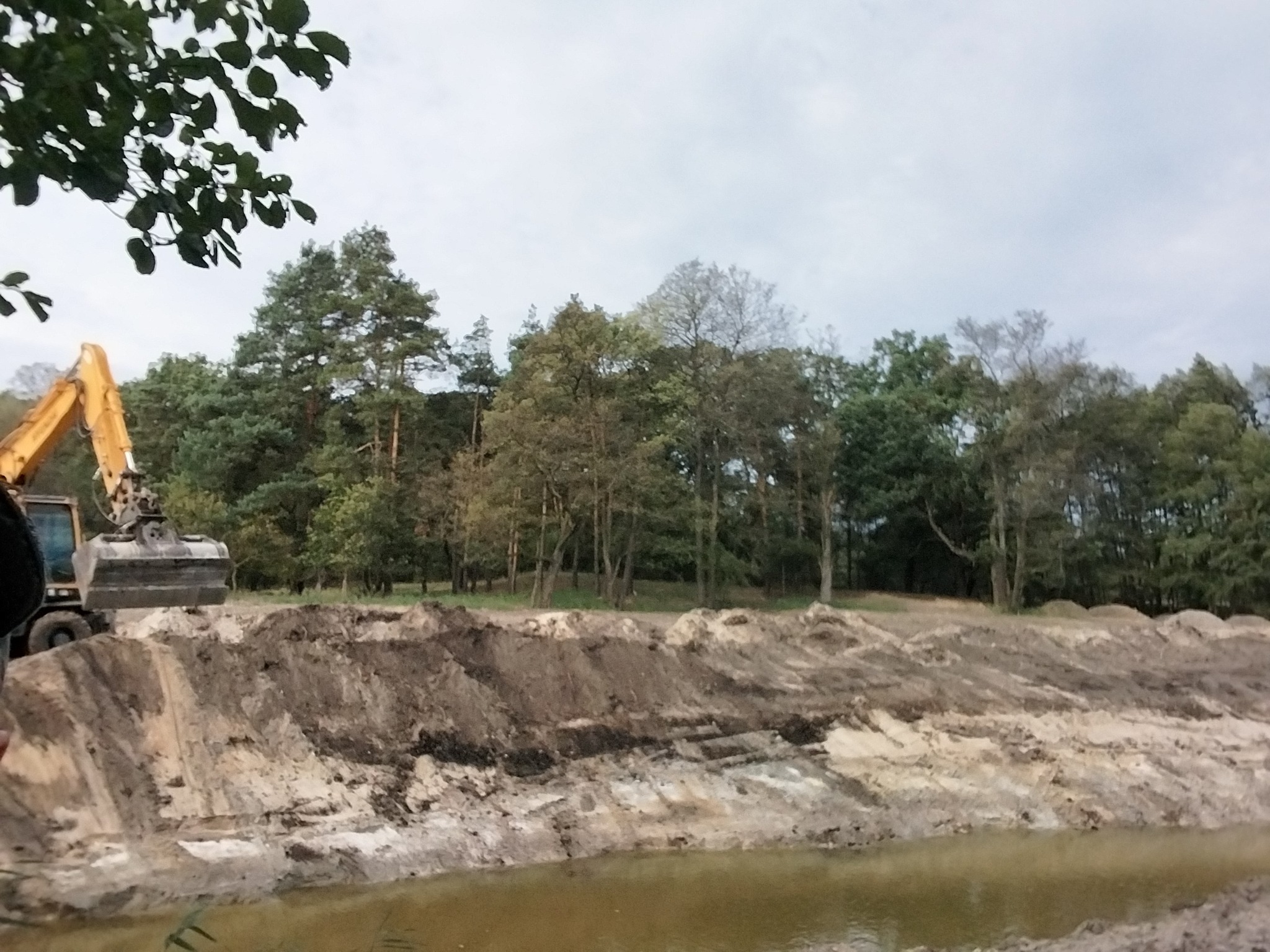 Żółta koparka przy wykopie ziemnym, w tle drzewa i pochmurne niebo. Prace ziemne w toku, widoczny wykop i maszyna budowlana.