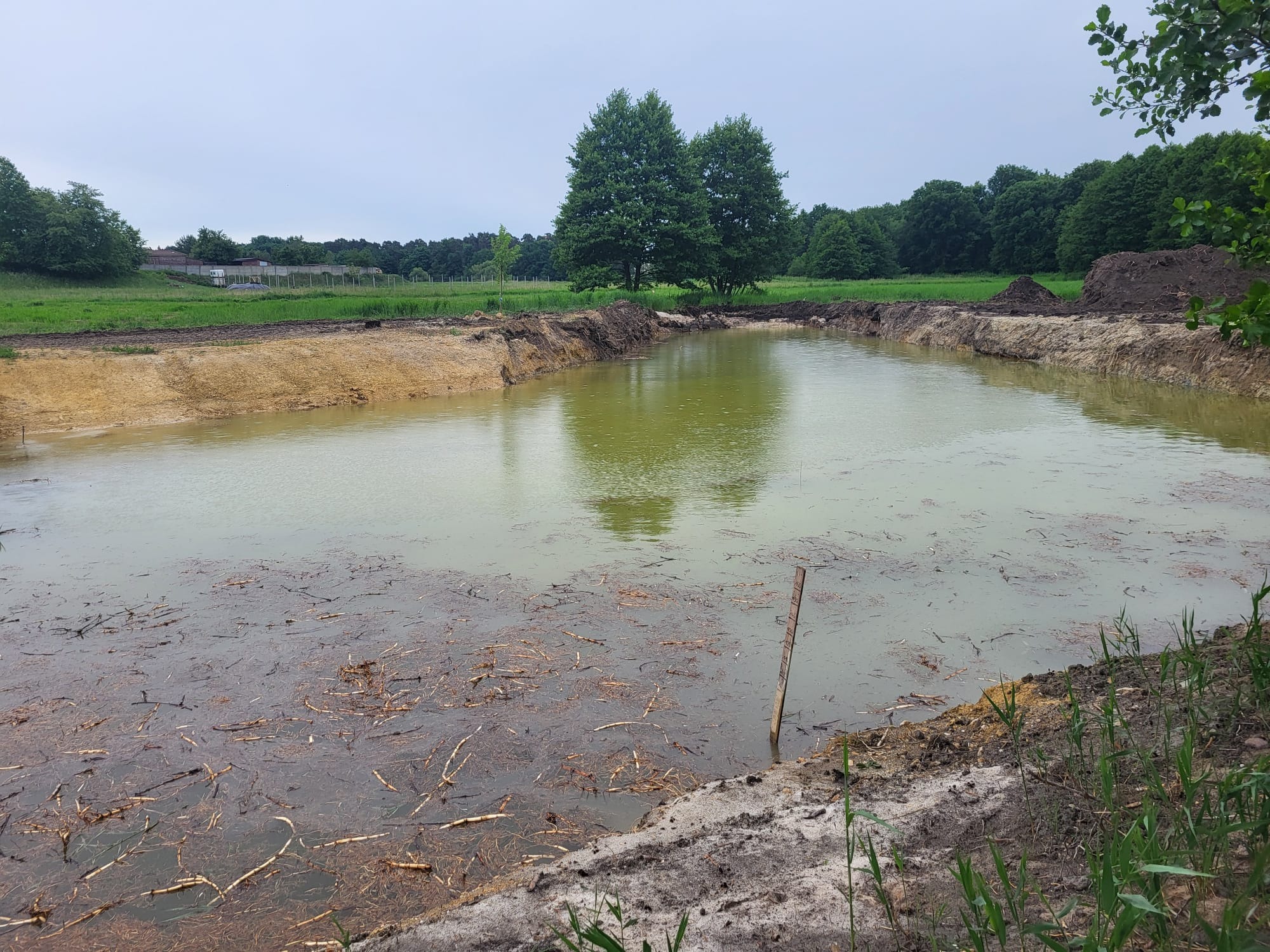 Wykopany staw retencyjny wypełniony wodą, otoczony ziemią i zielenią. Widoczne ślady prac ziemnych i naturalne otoczenie. Woda mętna, z pływającymi gałązkami.
