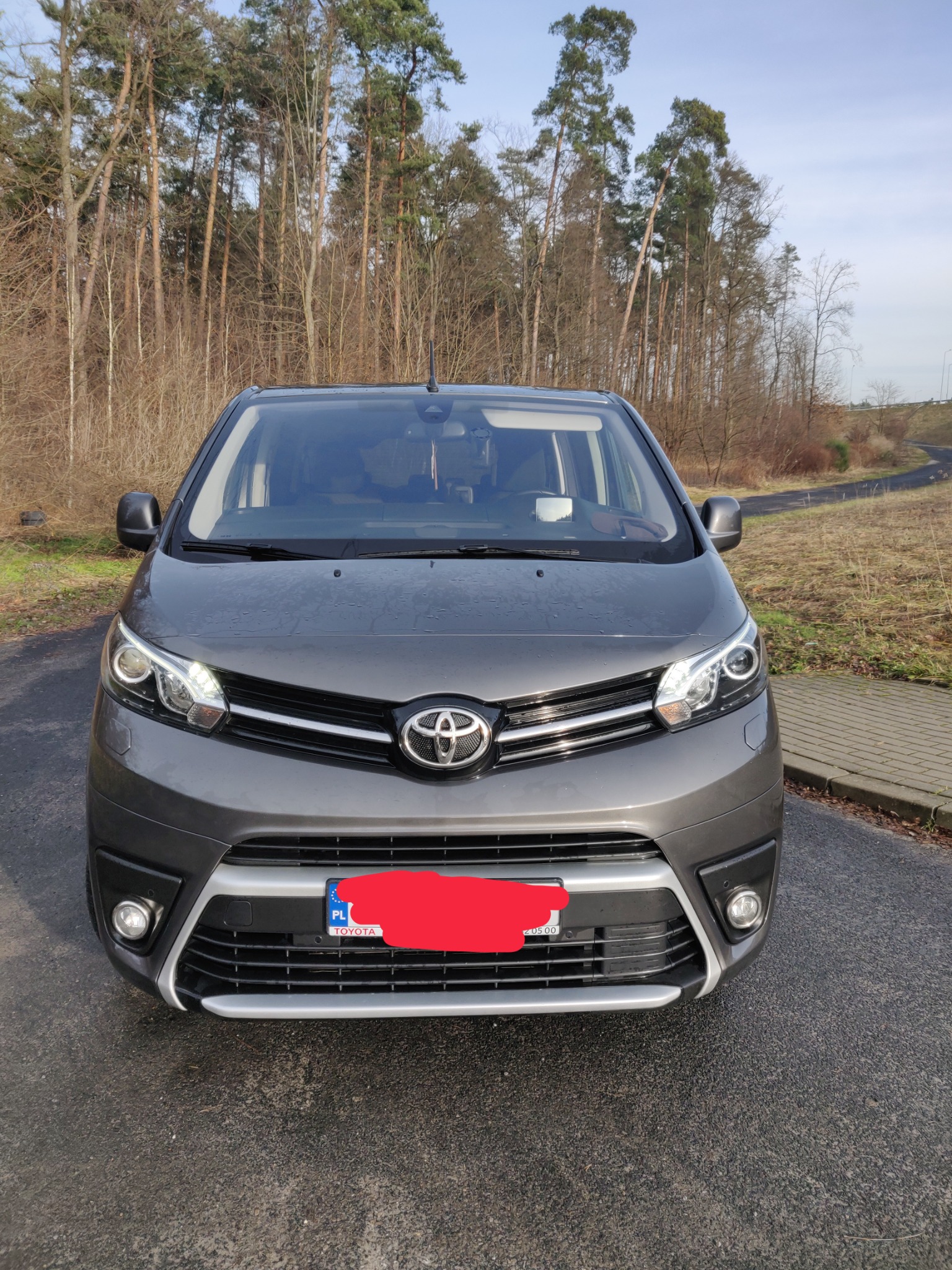 Szary van marki Toyota, widok z przodu na tle lasu i drogi, tablica rejestracyjna zasłonięta.