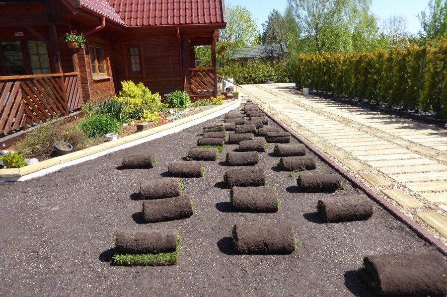 Zakładamy trawniki z rolki