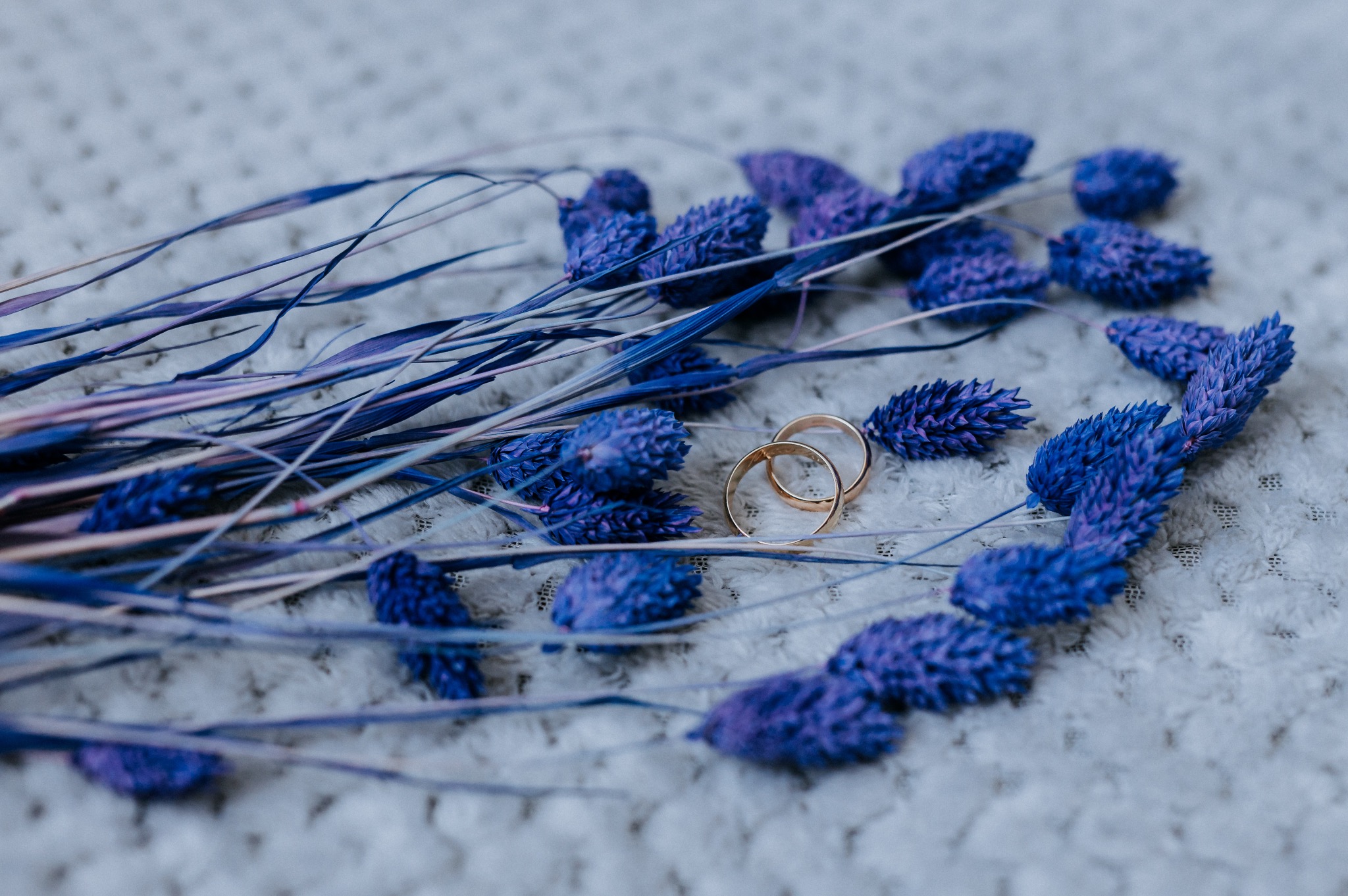 Dwa złote obrączki ślubne spoczywają na tle fioletowych suszonych kwiatów i gałązek, ułożonych na białej, teksturowanej tkaninie.
