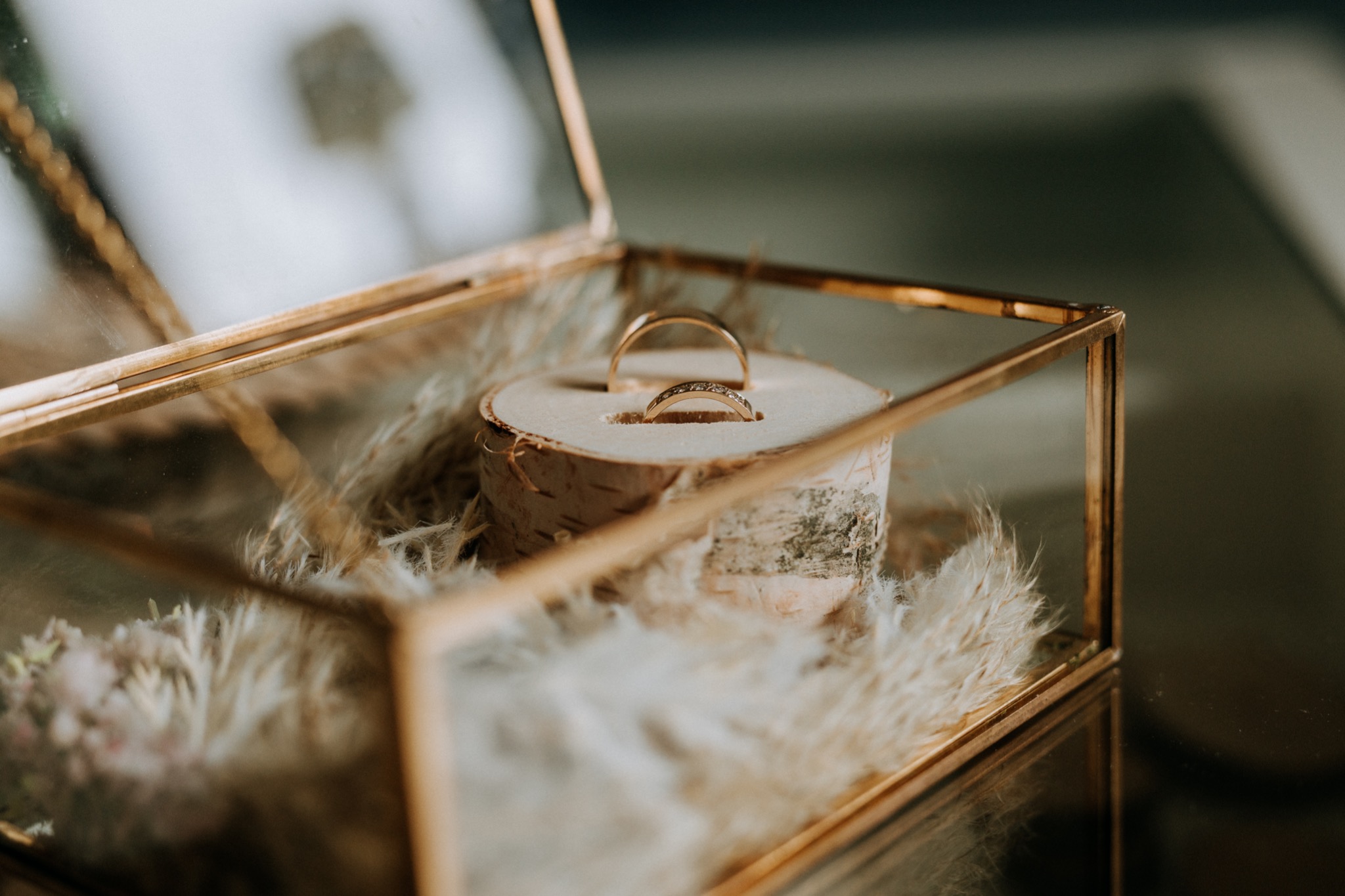 Dwa złote pierścionki ślubne w szklanym pudełku z pozłacanymi krawędziami, umieszczone na drewnianym krążku z korą brzozy, otoczone beżowymi piórami.