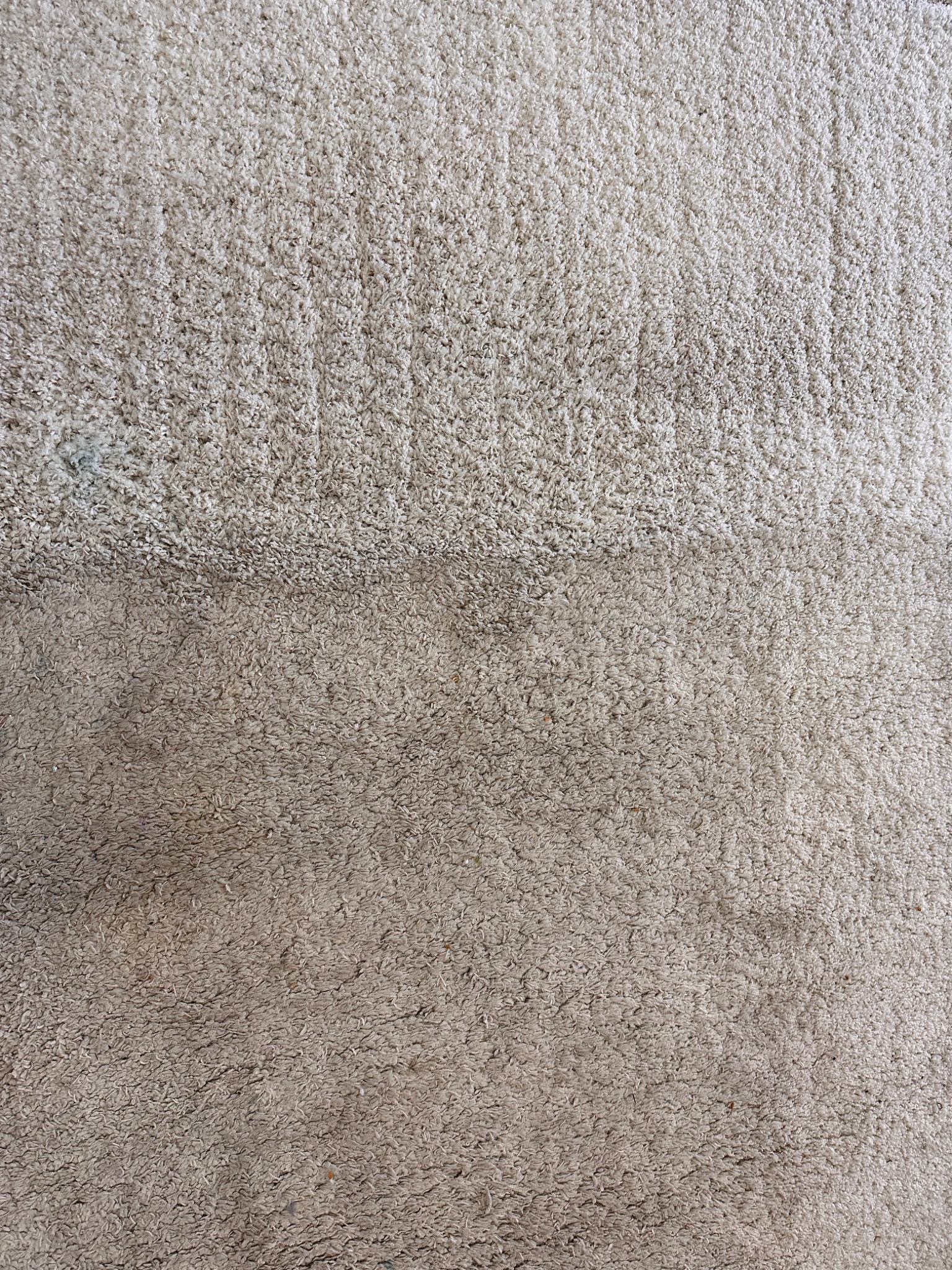 Fragment beżowego dywanu z widoczną różnicą w czystości: górna część jaśniejsza, dolna bardziej zabrudzona, z plamą w lewym górnym rogu.