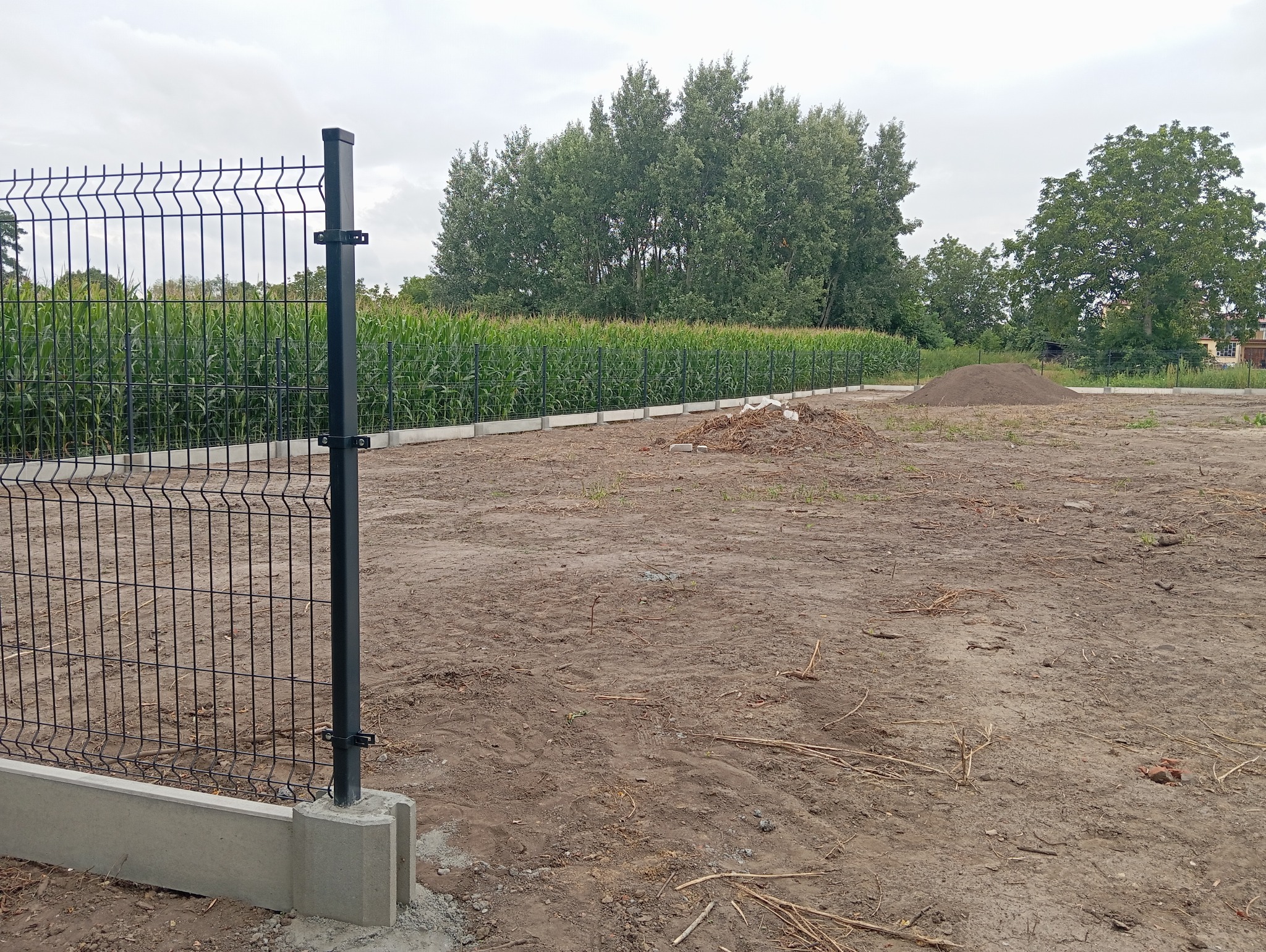 Montaż ogrodzenia panelowego: czarny panel z podmurówką betonową na tle pola kukurydzy i drzew, widoczny fragment konstrukcji w trakcie instalacji.