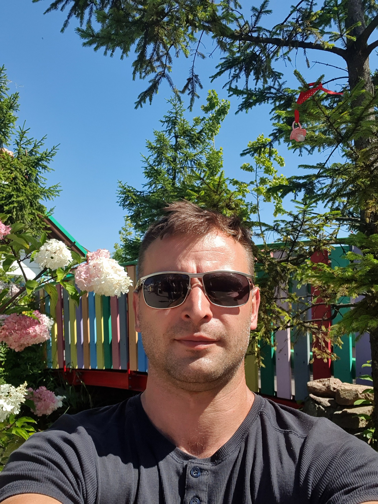 Mężczyzna w okularach przeciwsłonecznych na tle kolorowego płotu, hortensji i drzew iglastych w słoneczny dzień.