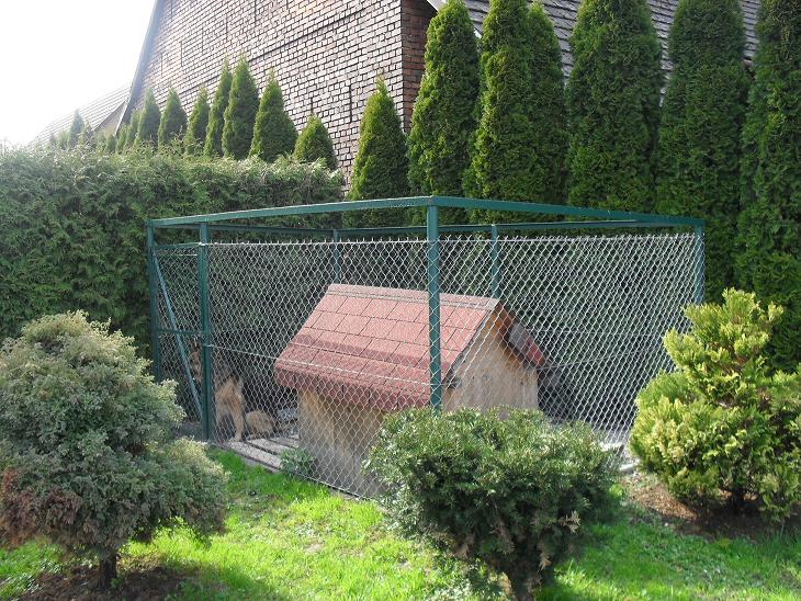 Zielona siatka ogrodzeniowa z metalową ramą otaczająca budę dla psa z czerwonym dachem, widoczna w ogrodzie z tujami i krzewami