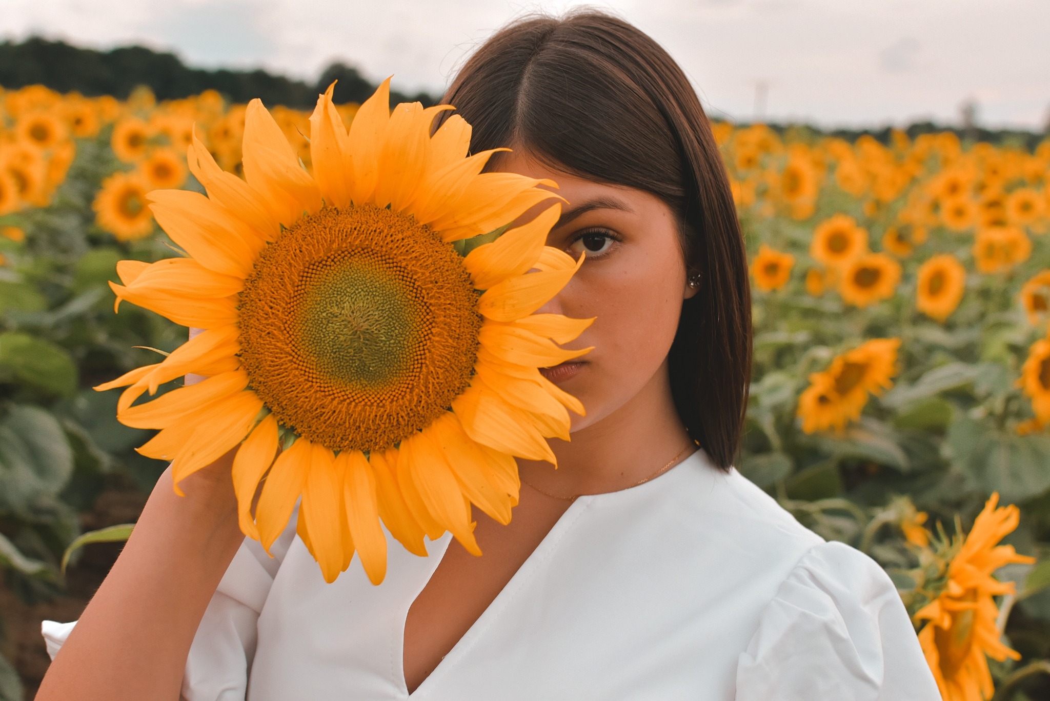 Portret młodej kobiety z ciemnymi włosami, zasłaniającej część twarzy dużym, kwitnącym słonecznikiem na tle pola słoneczników.
