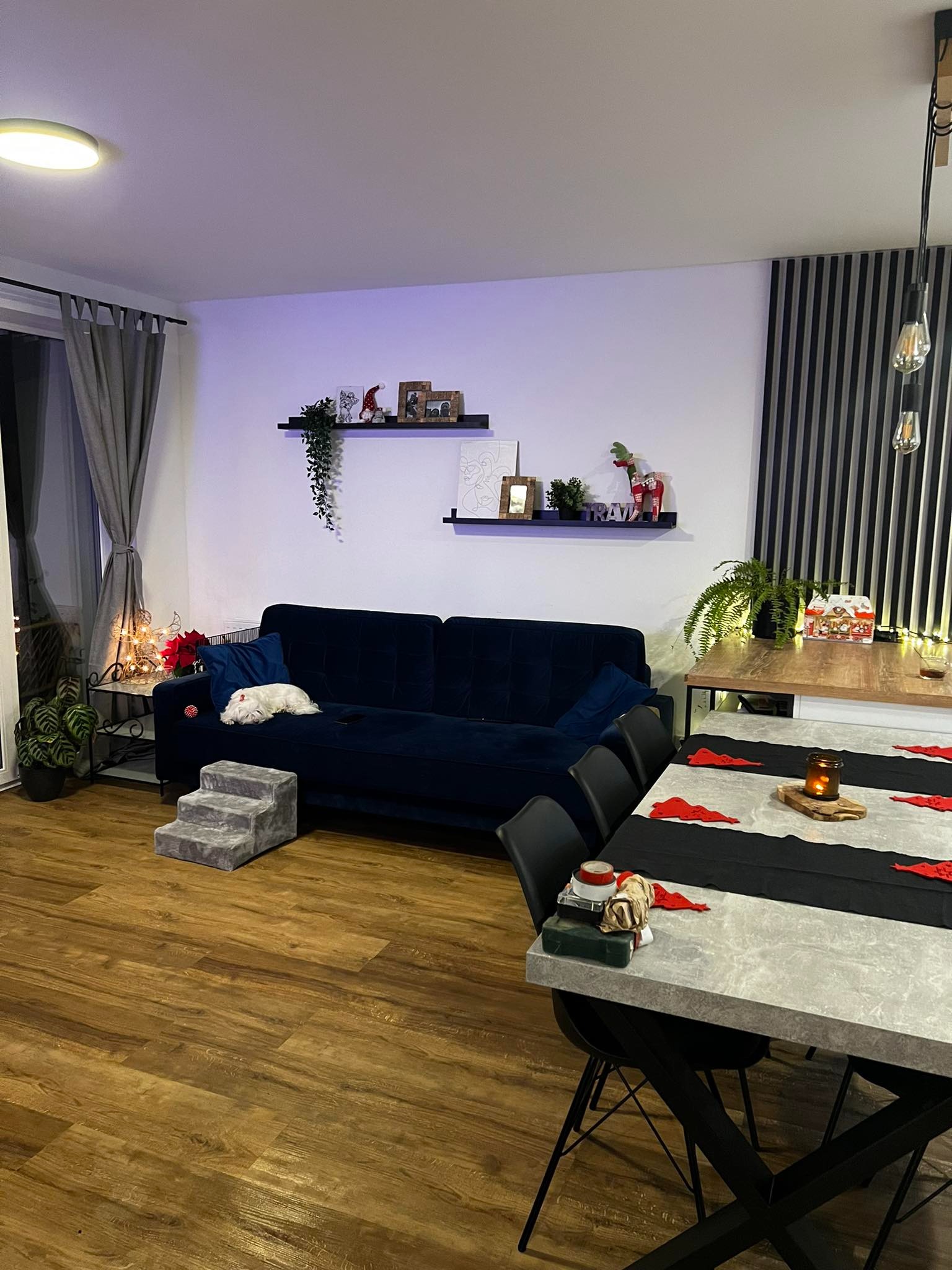 Nowoczesne wnętrze mieszkania z drewnianą podłogą, ciemnoniebieską sofą z poduszkami i schodkami dla psa, stół z dekoracjami świątecznymi i półki z ozdobami na ścianie.