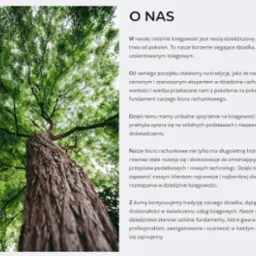 Tekst na stronie internetowej biura rachunkowego z widokiem na koronę drzewa z dołu, symbolizujący tradycję i solidne fundamenty firmy.