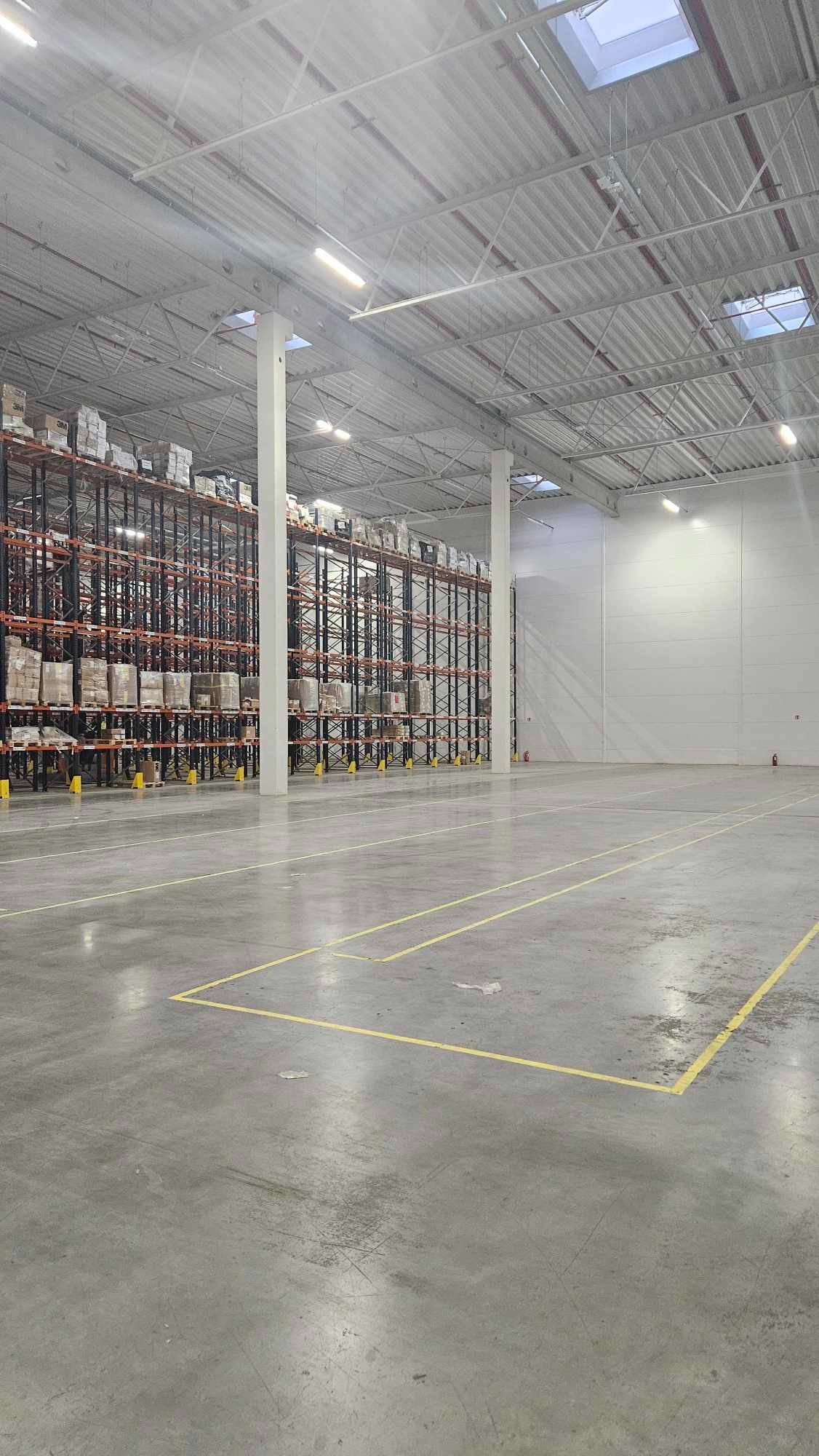 Przestronne wnętrze magazynu z wysokimi regałami wypełnionymi zapakowanymi towarami, oświetlone światłem naturalnym z okien dachowych i lampami, z żółtymi liniami wyznaczającymi strefy na betonowej...