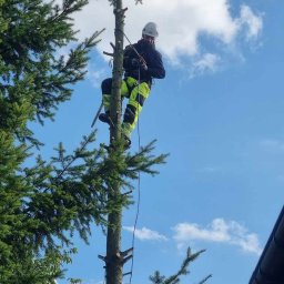 Płyta karton gips Stargard 2