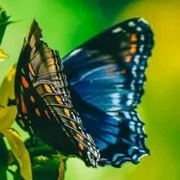 Kurs włoskiego Warszawa 2