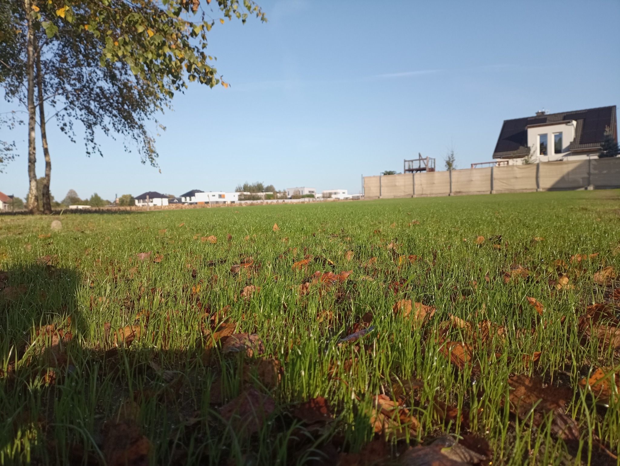 A tu jak juz trawka pieknie nam rośnie.