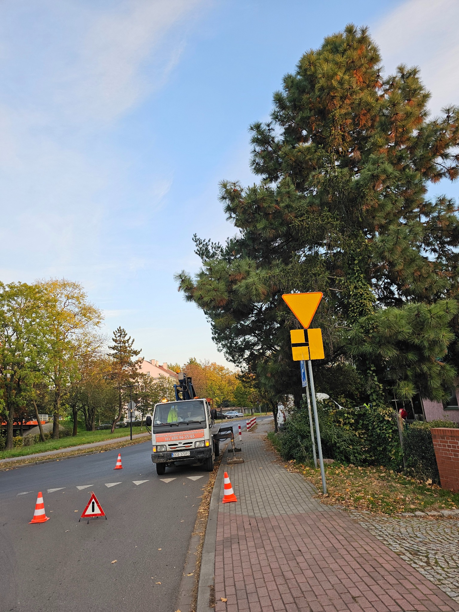 Samochód z podnośnikiem na tle wysokiego drzewa, zabezpieczony stożkami i znakiem ostrzegawczym na ulicy w trakcie prac.