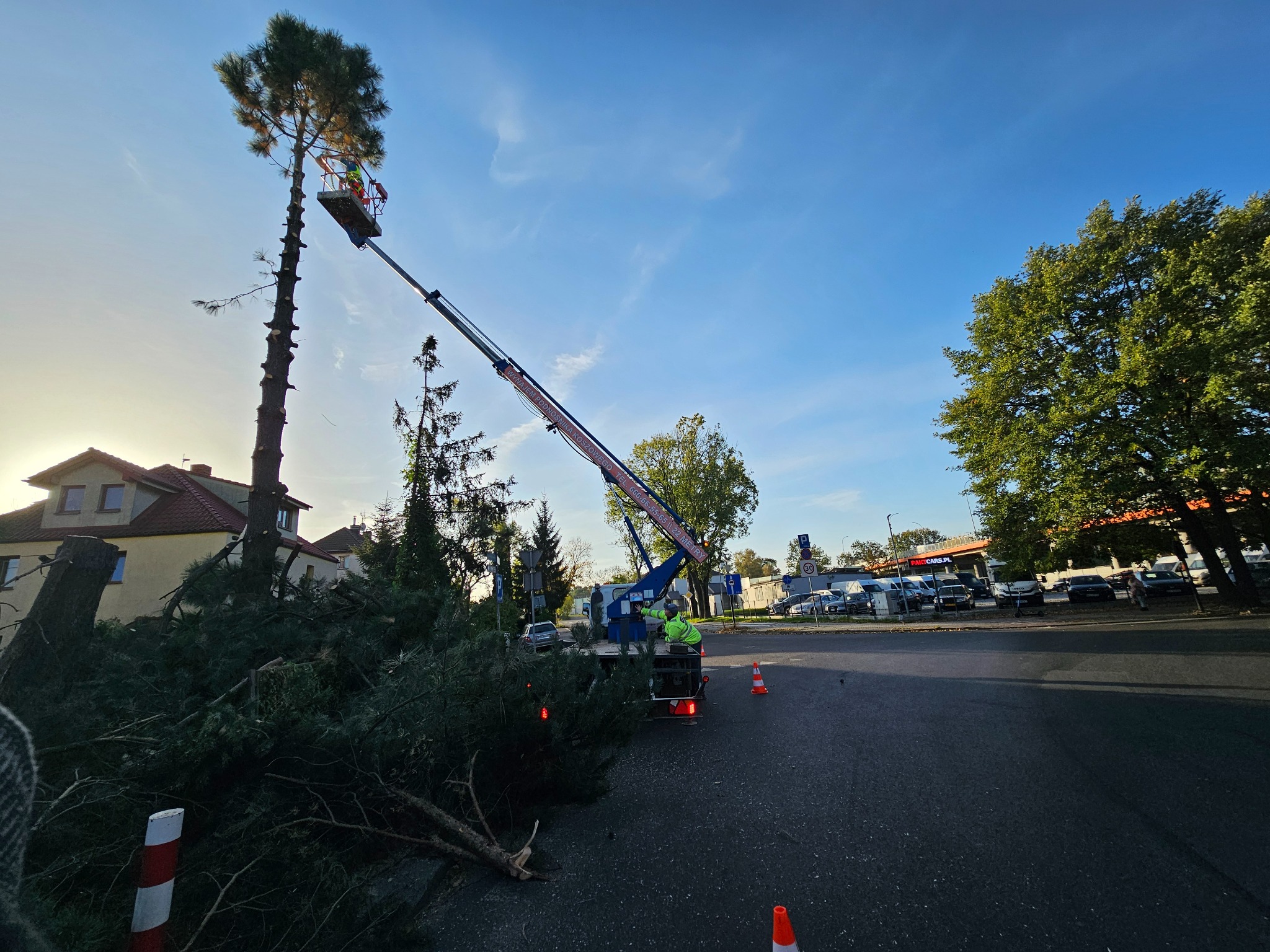 Operator w podnośniku koszowym przycina wysokie drzewo, stos gałęzi na ulicy, widok na budynki i zaparkowane samochody w tle.