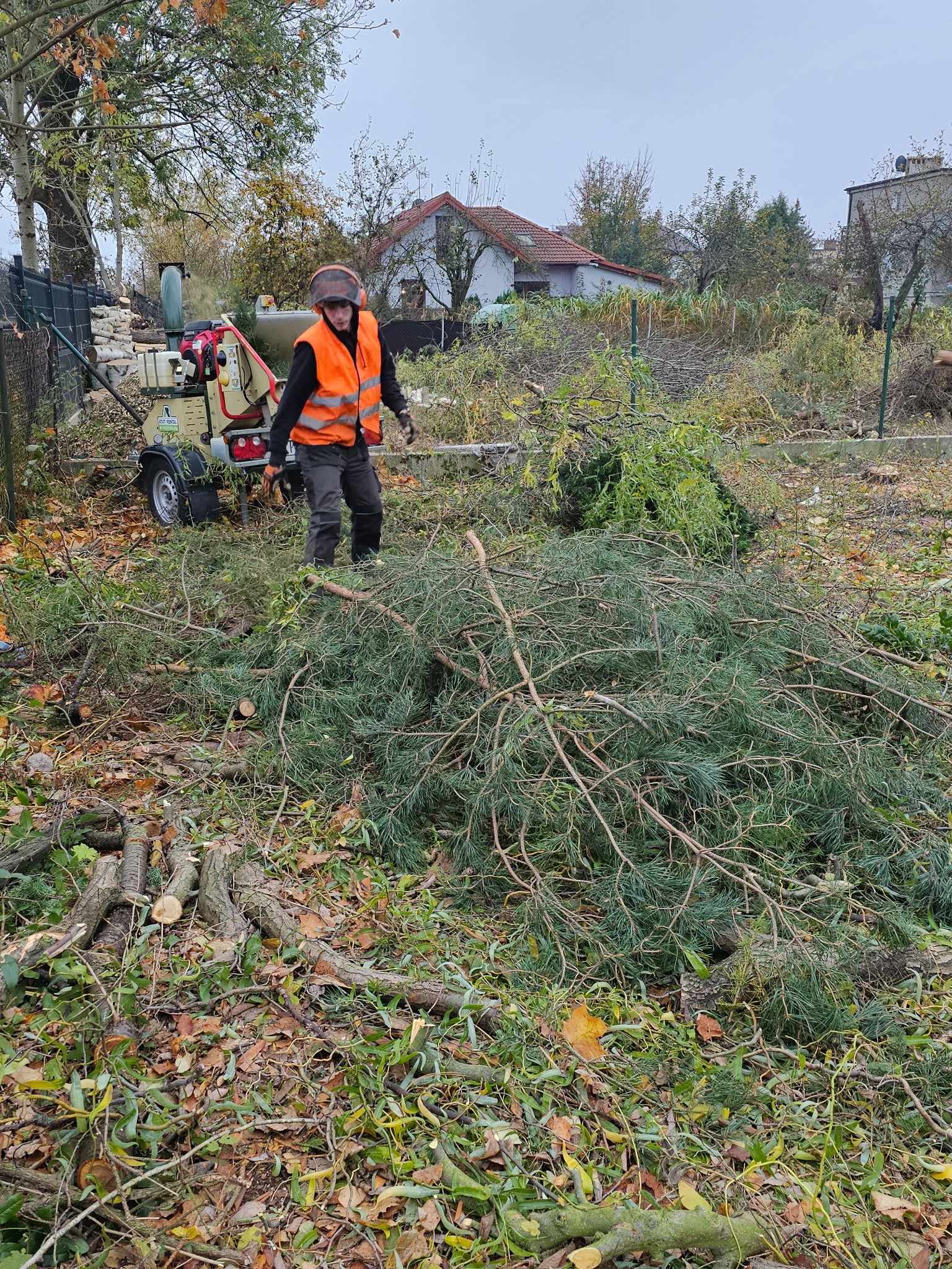Pracownik w kamizelce odblaskowej i kasku ochronnym stoi na tle maszyny do rozdrabniania gałęzi, z przygotowanymi do pocięcia gałęziami drzew iglastych na ziemi.