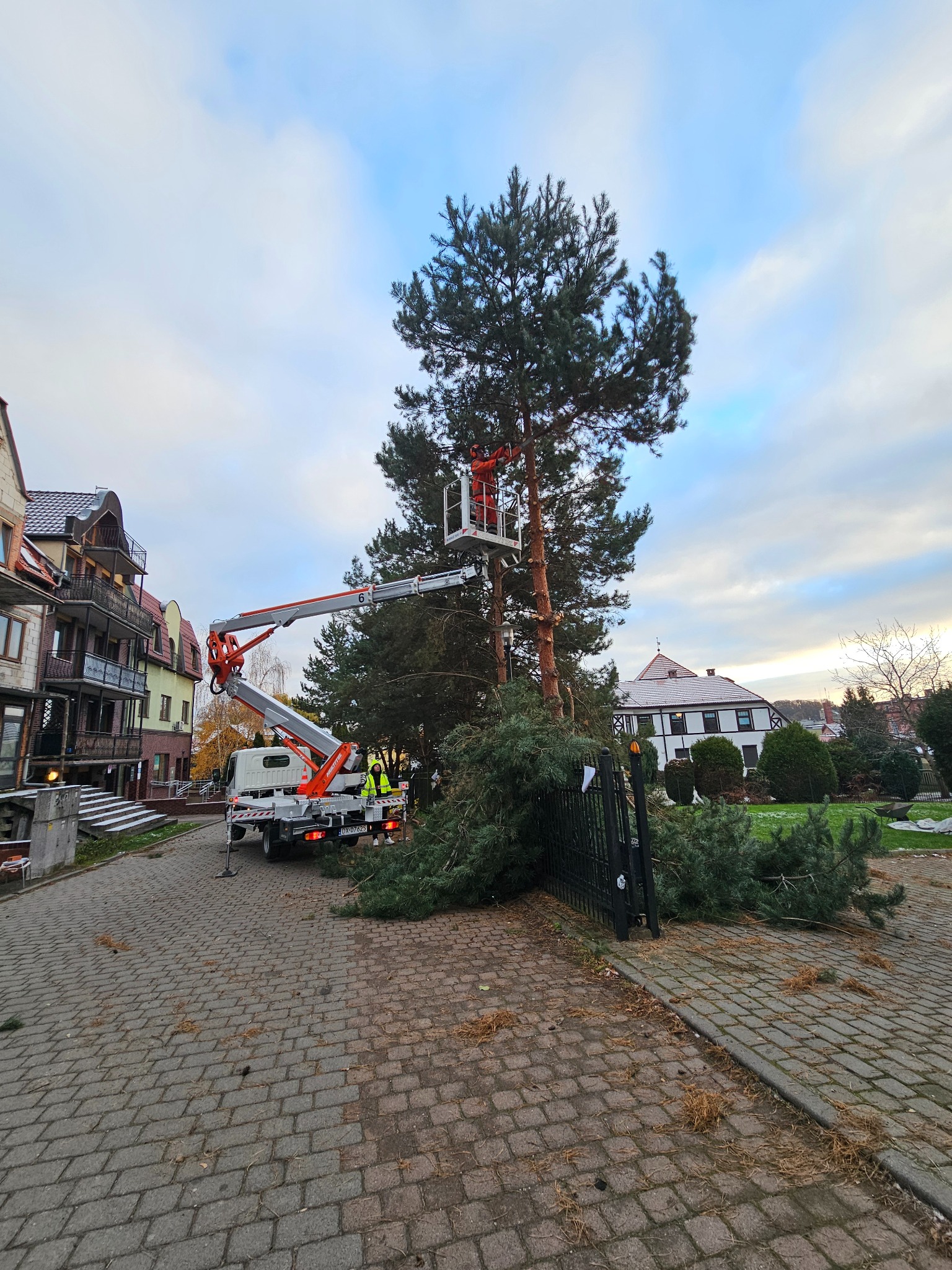 Pracownik w podnośniku koszowym przycina wysokie drzewo iglaste; obok leżą ścięte gałęzie, a na chodniku widać ekipę w żółtych kamizelkach i samochód dostawczy.