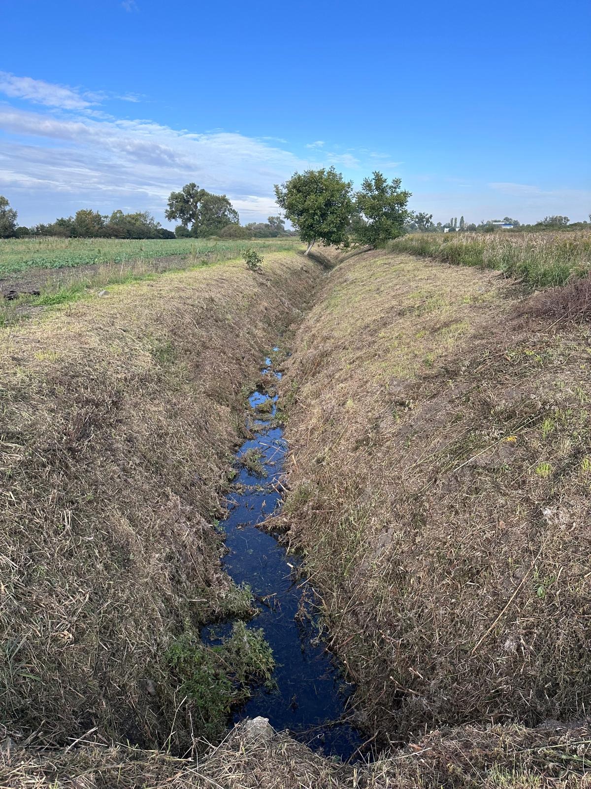 Długi, wąski rów melioracyjny wypełniony wodą, otoczony wyschniętą trawą i polami uprawnymi pod błękitnym niebem z lekkimi chmurami.